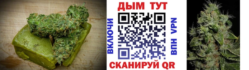 Canna-Cookies конопля  Михайлов 