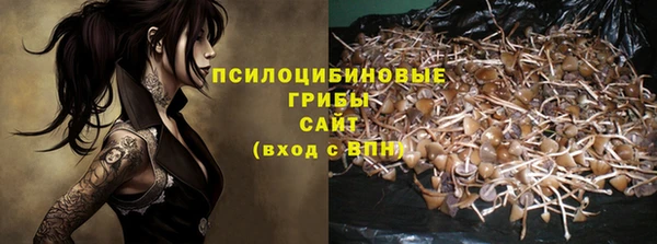 дживик Магадан