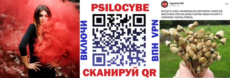 Псилоцибиновые грибы мухоморы  нарко площадка какой сайт  Михайлов 